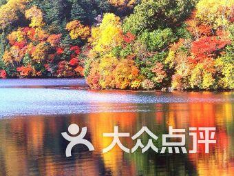 婚姻中如何守护爱情，拒绝做奴隶？- 专业有问必答平台