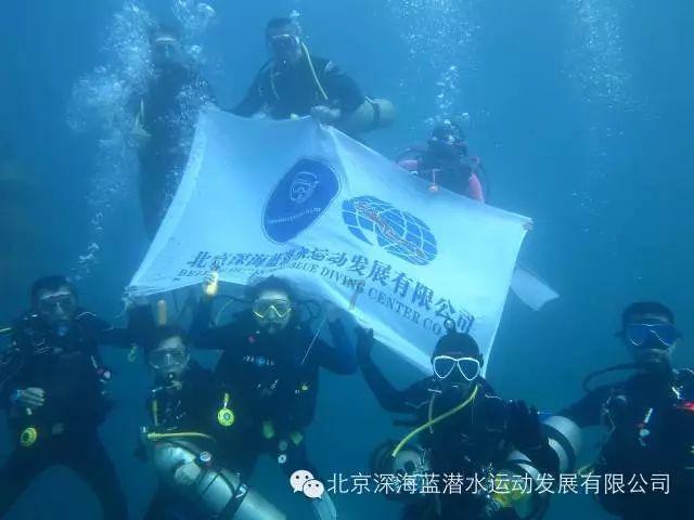 植物大战僵尸1