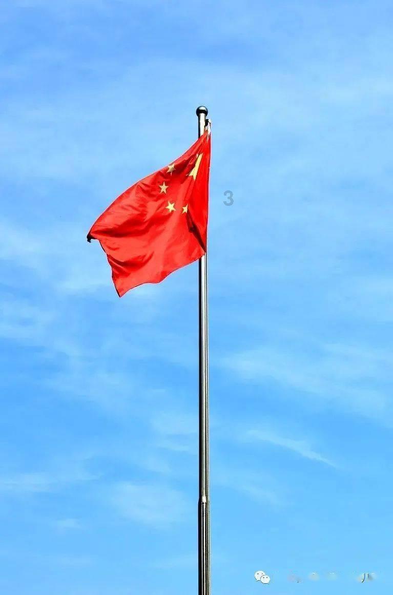 逗小猴开心系列174